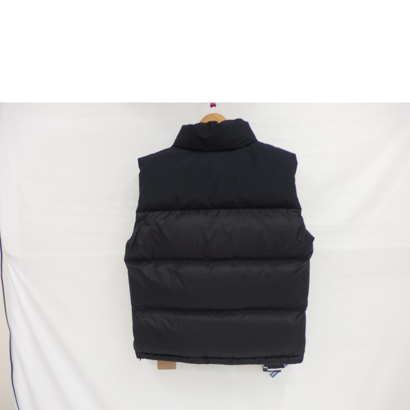 THE NORTH FACE ザノースフェイス/GTXヌプシベスト/ダウン/ND92261//SAランク/82