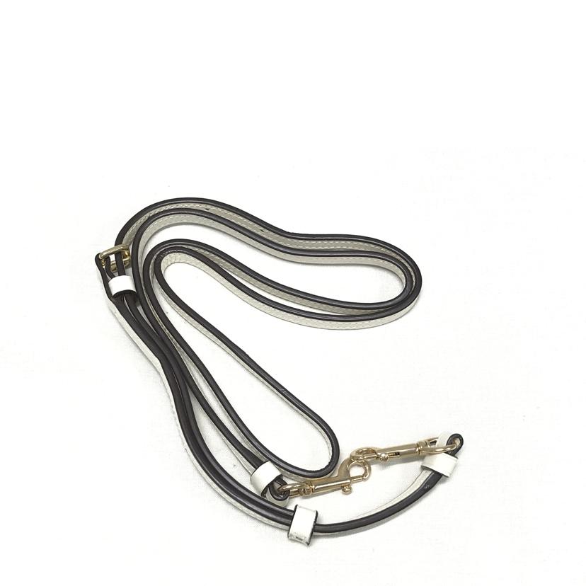 COACH コーチ/2wayショルダーバッグ/F49055//SAランク/51