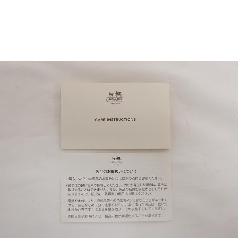 COACH コーチ/シグネチャーストライプ/ハンドバッグ/F49315//A1394/Aランク/04