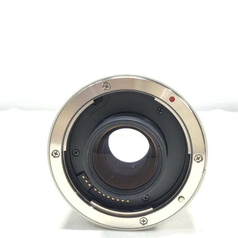 Canon キャノン/エクステンダー/EXTENDER EF 2X//47058/ABランク/51
