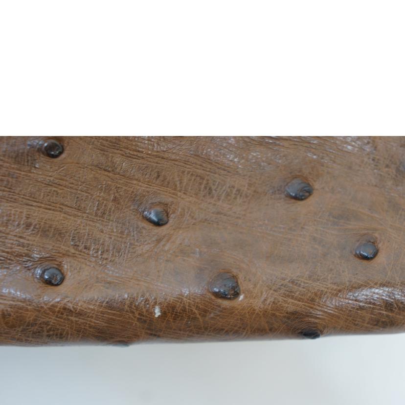 Ferragamo フェラガモ/ヴィンテージ/オーストリッチ2way/AK6787//Bランク/09