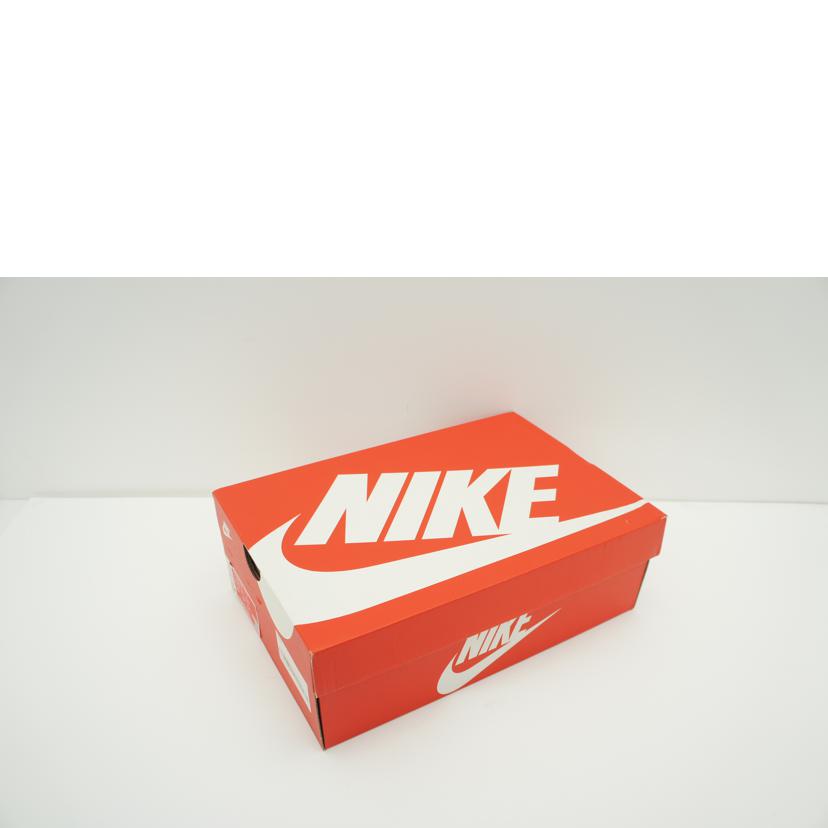 NIKE ナイキ/WMNS DUNK LOW NH"WinterSolstice"/DO6723-800//SAランク/09