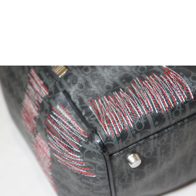 DIOR HOMME ディオール・オム/エンブロイダリーボディバッグ/05-BO-1106//ABランク/94