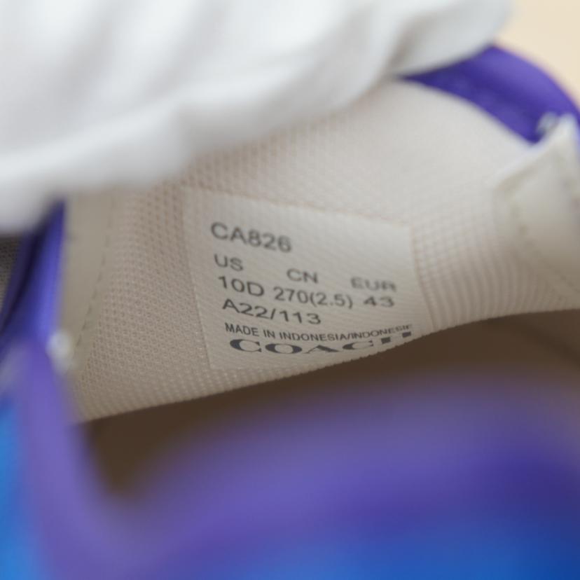 COACH コーチ/スリップオンスケートスニーカー/CA826//SAランク/09