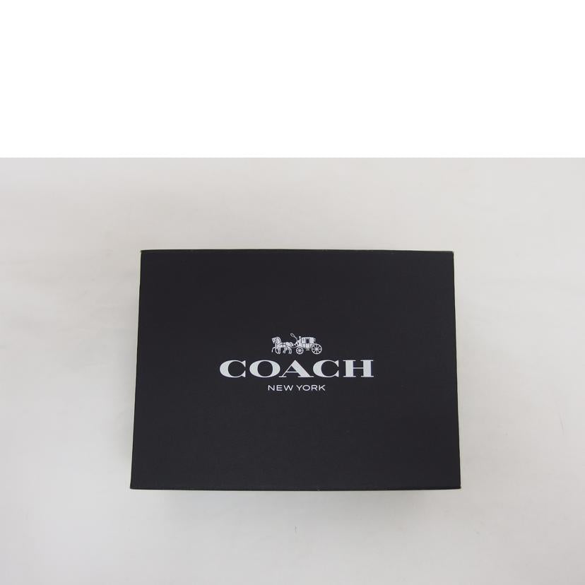 COACH コーチ/6連レザーキーケース/ピンク/58359//H1980/ABランク/04