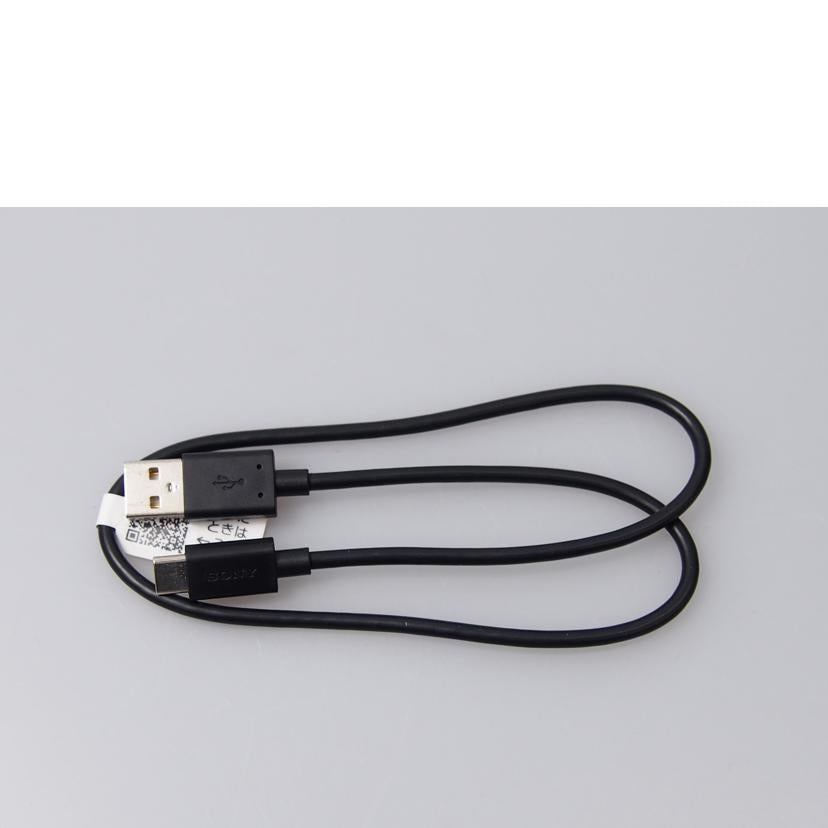 SONY ソニー/WALKMAN /NW-A105/NW-A105//5146001/Aランク/76