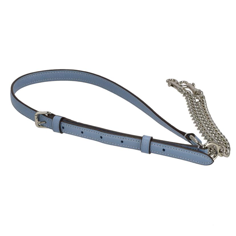 COACH コーチ/セージキャリーオール2WAYトート/ブルー/F28976//L18**/ABランク/75