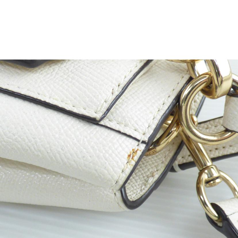 COACH コーチ/レザー2WAYバッグ/F13683//A18**/Bランク/64