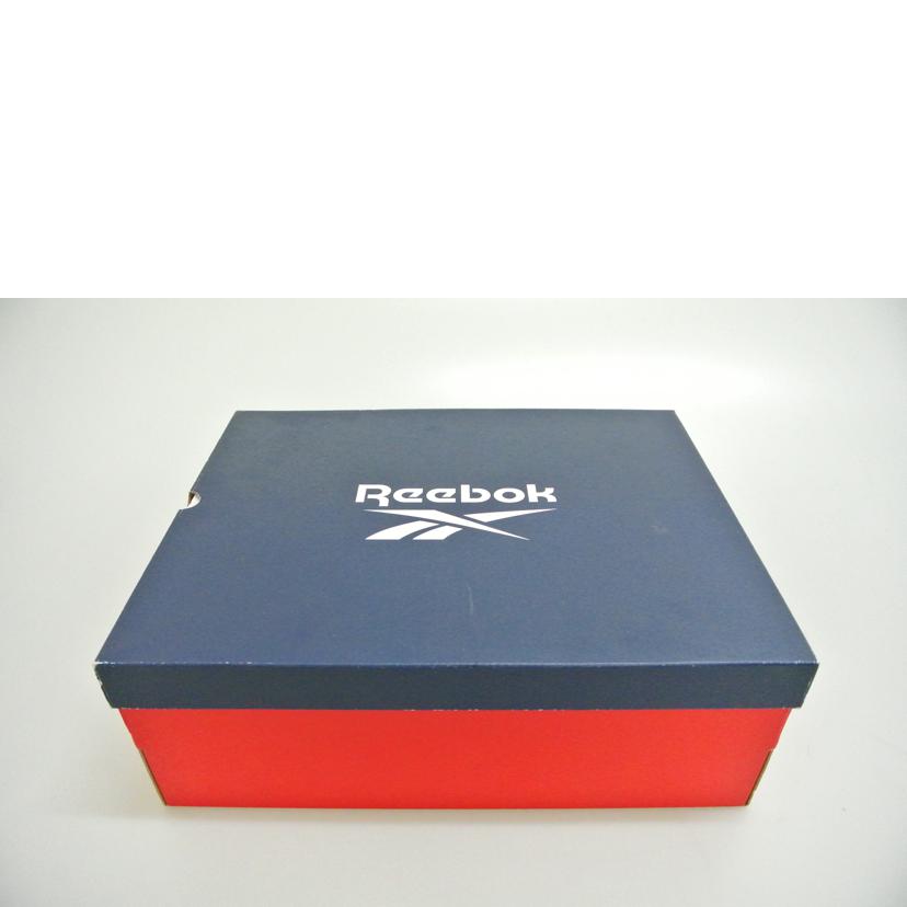 Reebok リーボック/Zig Kinetica Ⅱ Edge GTX/H05172//Aランク/87