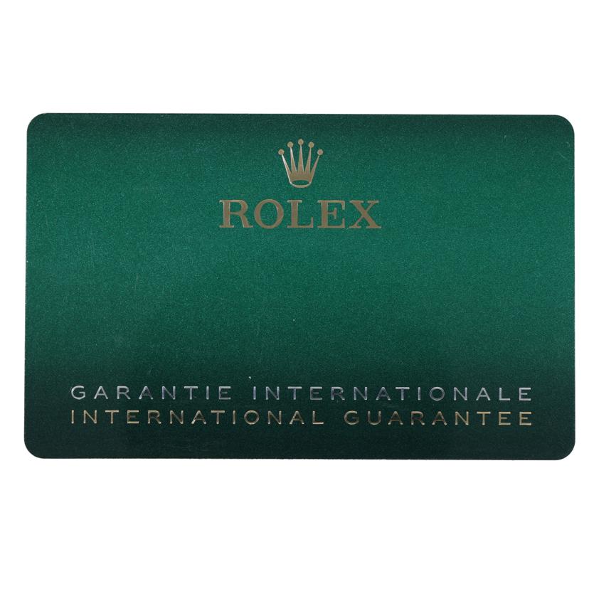 ROLEX ロレックス 腕時計 自動巻き ランダムルーレット 新ギャラ/オイスターパーペチュアル41・シルバー/124300//MT986672/Aランク/75