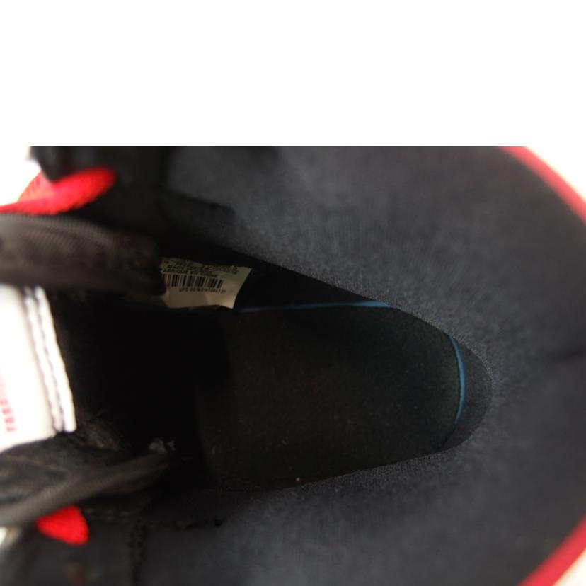 NIKE/AIR JORDAN 1 RETRO HIGH /555088061//Aランク/83