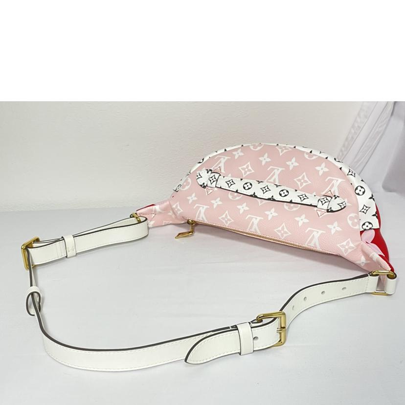 LV ルイヴィトン/バムバッグ ボディバッグ/M44575//SA1149/Aランク/51