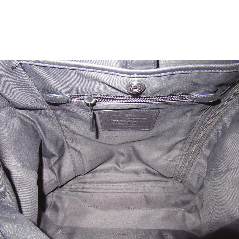 COACH/スエードレザーバックパック/72324 //ABランク/63