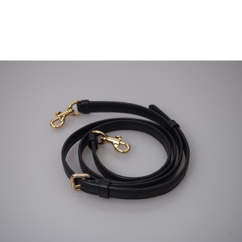 COACH コーチ/シグネチャー2WAYショルダーバッグ/5693//Aランク/76