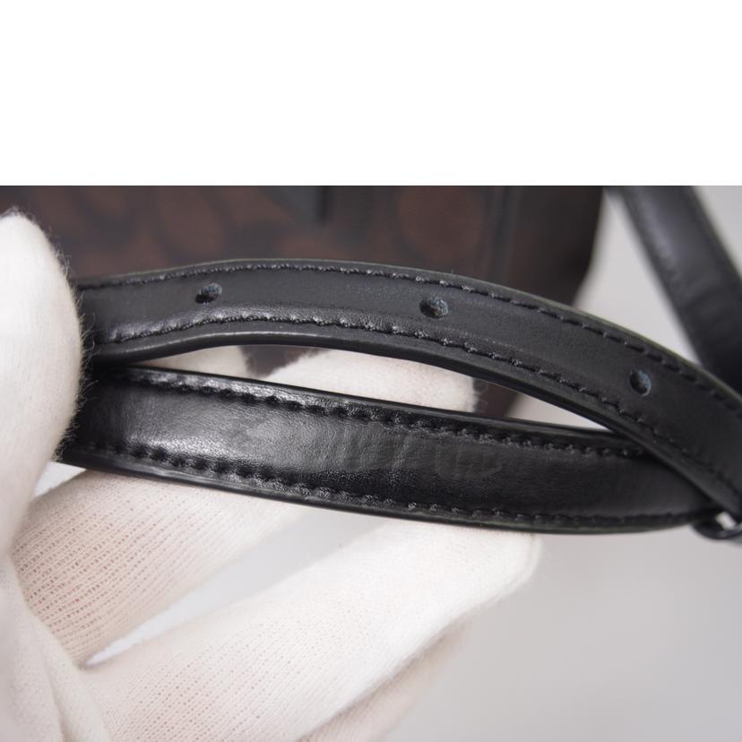 COACH コーチ/シグネチャー2WAYショルダーバッグ/5693//Aランク/76