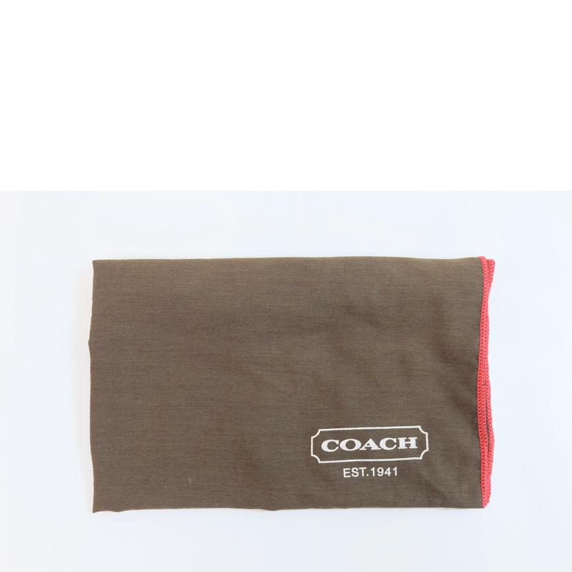 COACH コーチ/ハンプトンズシグネチャーラージキャリーオール/10508//B07**/ABランク/71