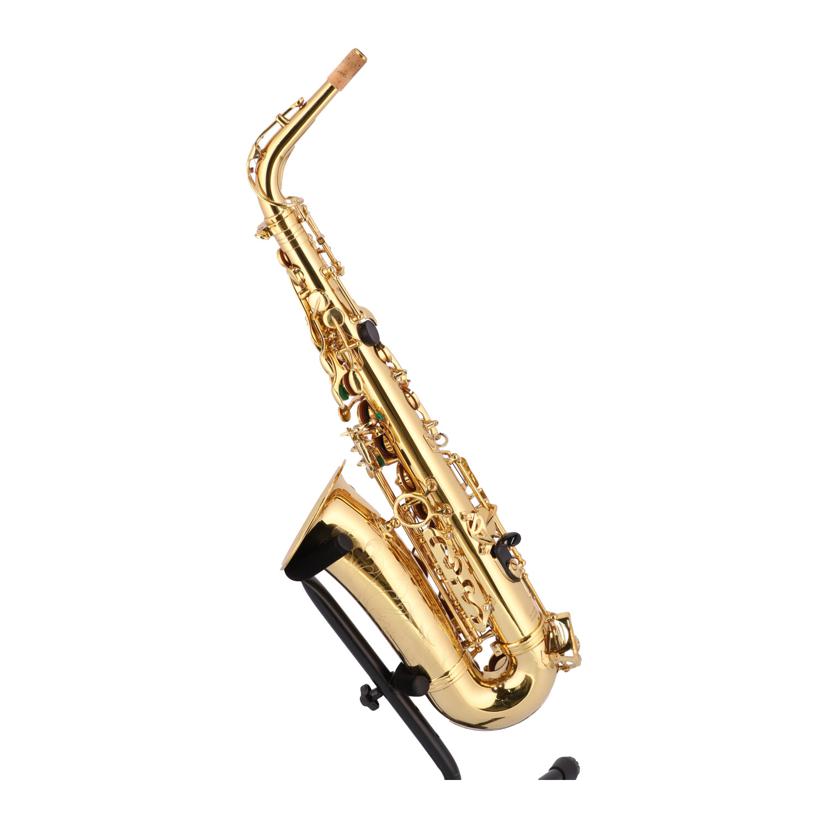 Chateau シャトー/アルトサックス/CAS-A70GL//012009011/Cランク/71