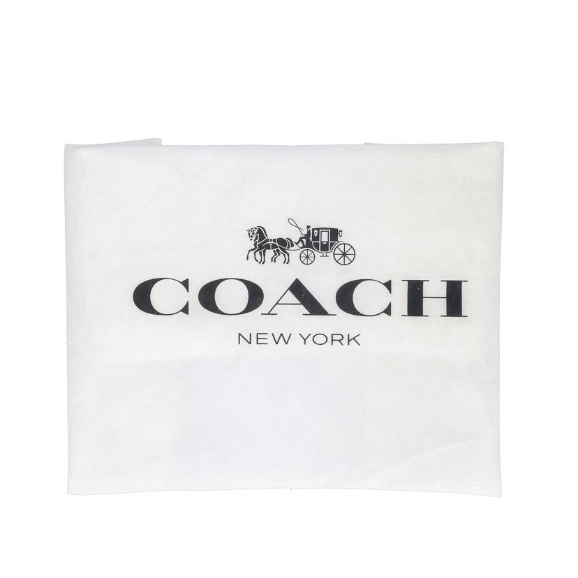 COACH コーチ/アンディクロスボディ/CA213//E23**/Aランク/09