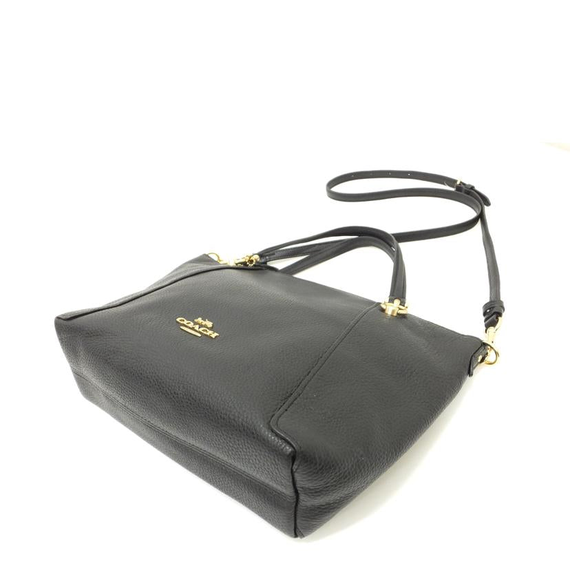 COACH コーチ/2Wayレザーショルダーバッグ/C6229//M21**/ABランク/88