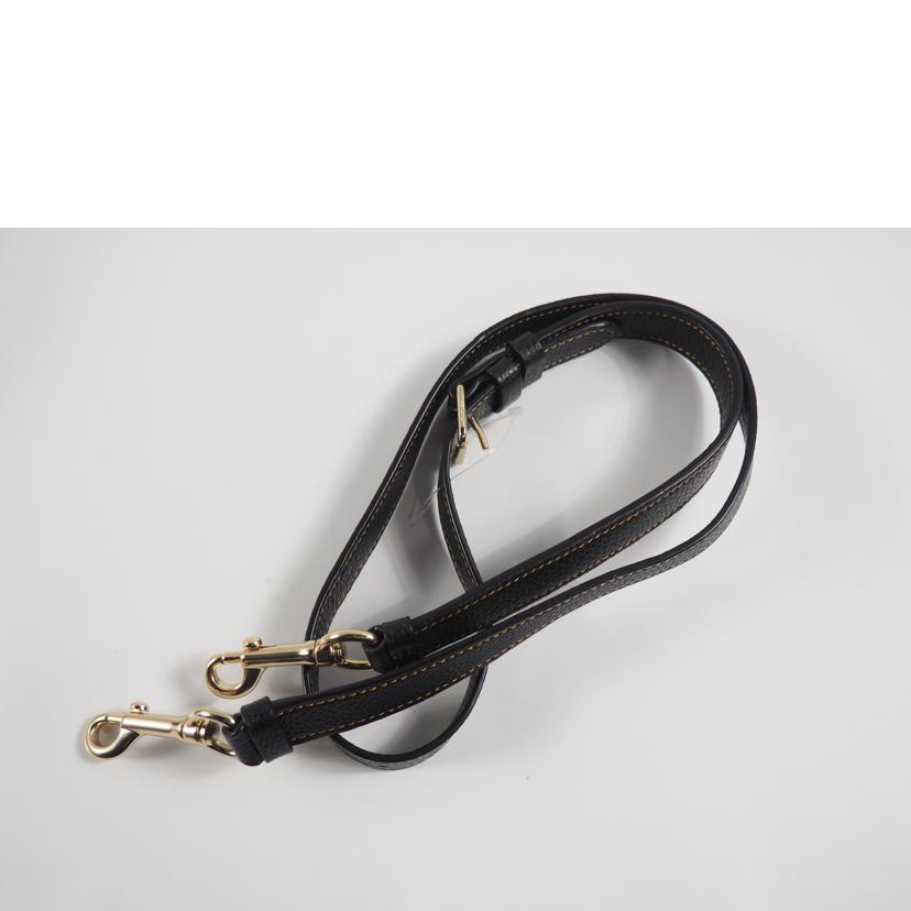 COACH コーチ/2way/ペニーレザー クロスボディ/チョークマルチ/6154//ABランク/79