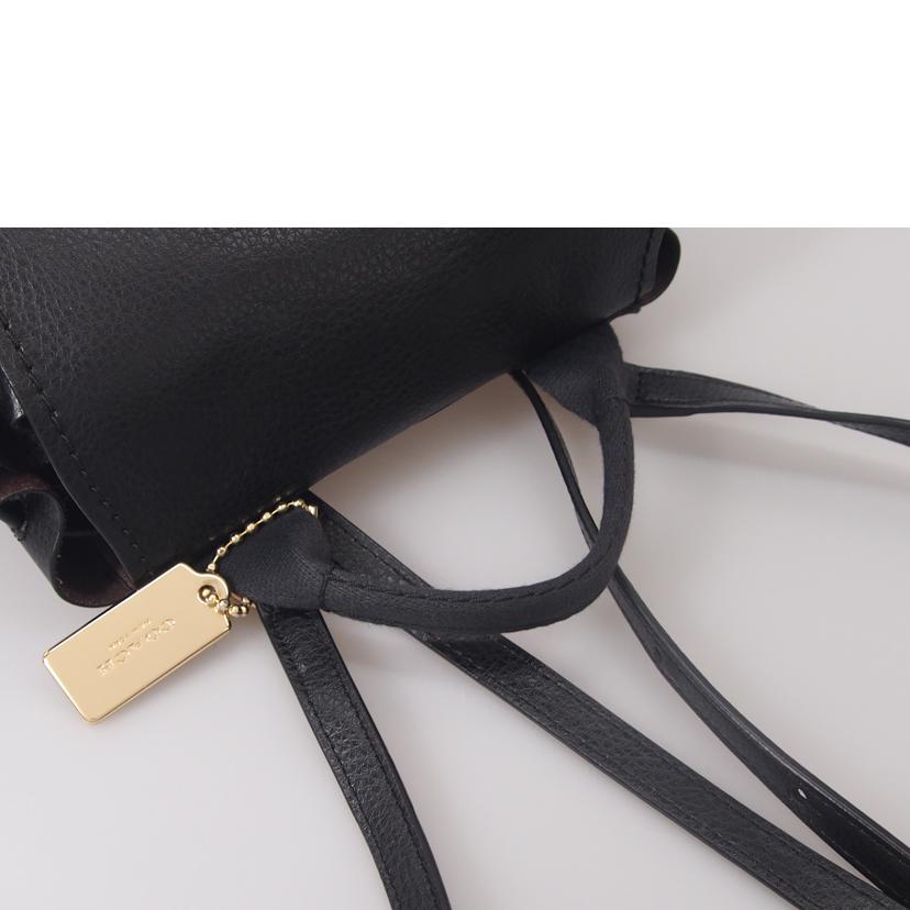 COACH コーチ/レザーリュック/F59819//F1821/ABランク/76