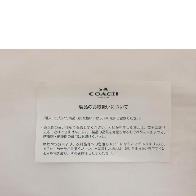 COACH コーチ/シグネチャーファイルバッグ/ショルダーバッグ/91013//L1939/Aランク/04