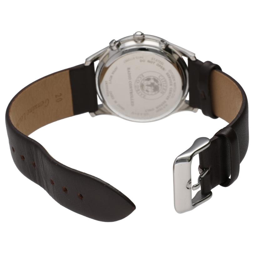 CITIZEN シチズン/エコドライブ/AS1060//282******/ABランク/09