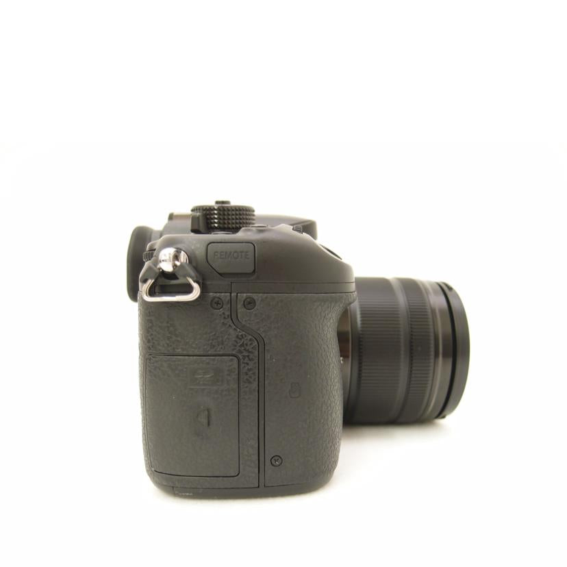 Panasonic パナソニック/ミラーレス一眼ズームレンズキット/DMC-GH4H//WE5SF001006/ABランク/69