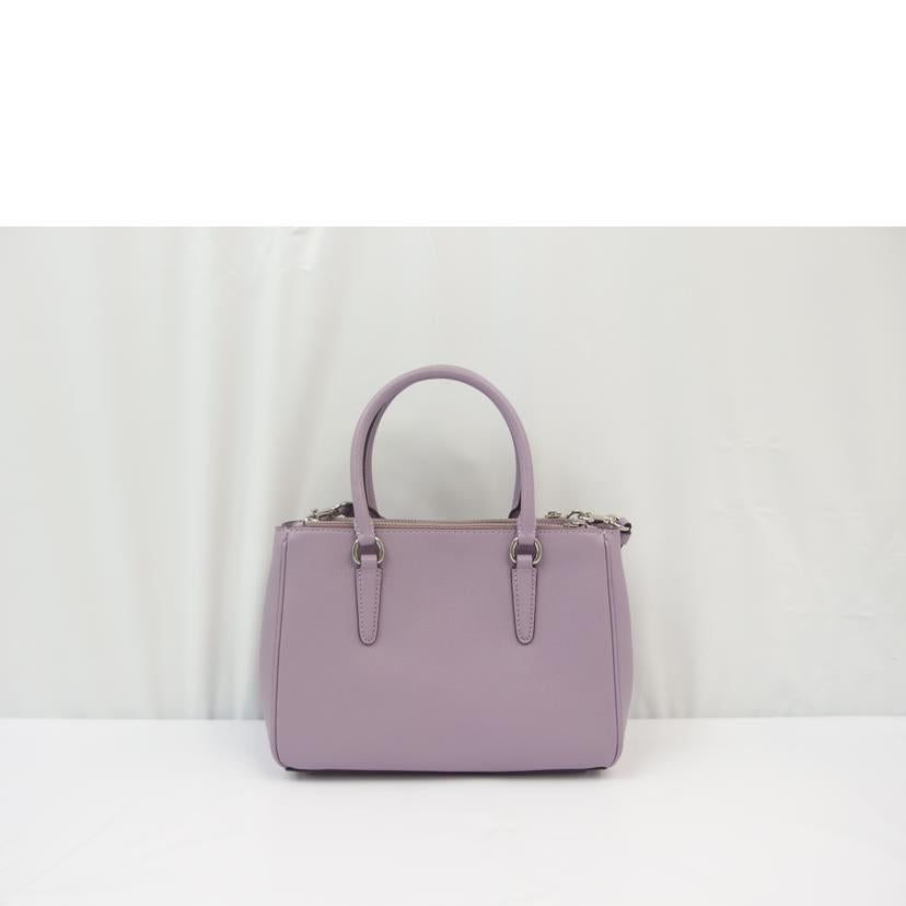 COACH コーチ/クロスグレインレザーミニサリーキャリーオール/F44962//F1947/Aランク/83