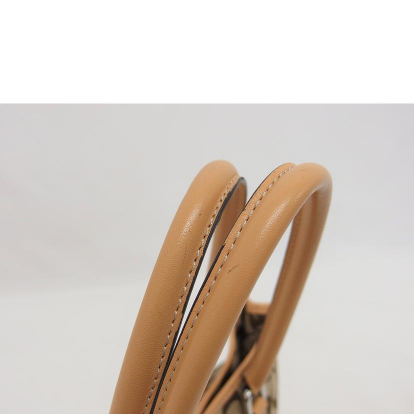 COACH コーチ/シグネチャースモールキャリーオール/ハンドバッグ/6089//J2J/ABランク/04