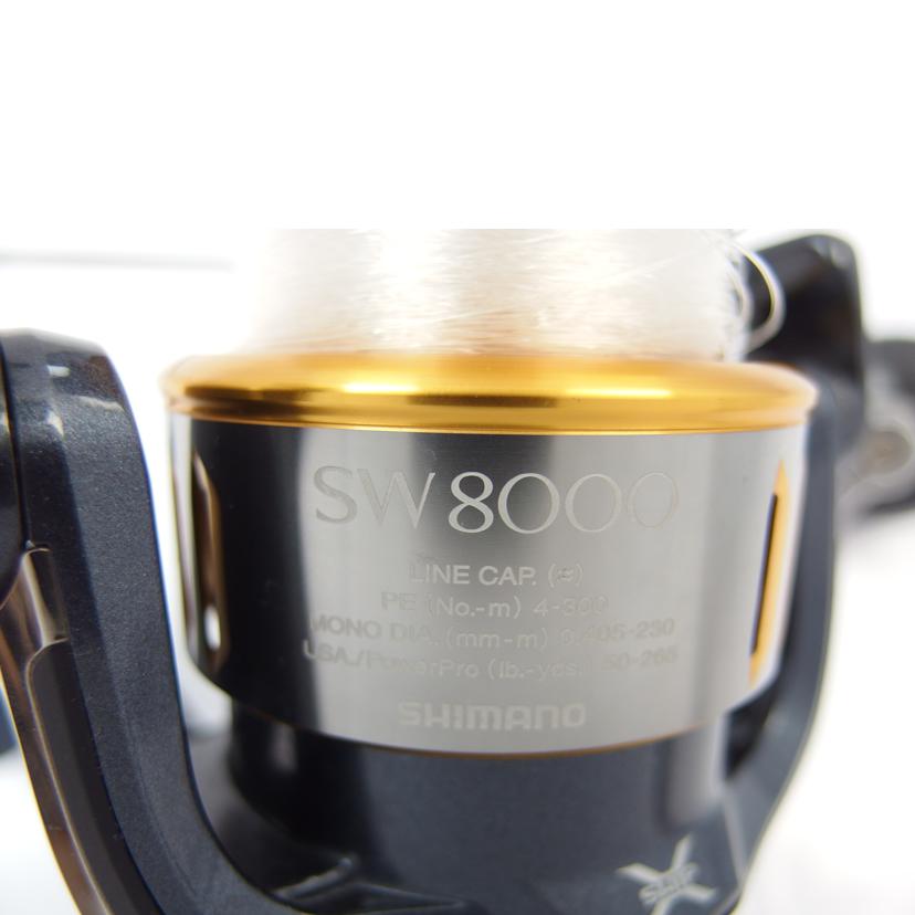 SHIMANO/SHIMANO TWINPOWER SW8000/SW8000HG-B//Aランク/83
