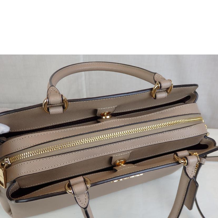 COACH COACH/リリーキャリオール2WAYハンド/91493//C20**/ABランク/93