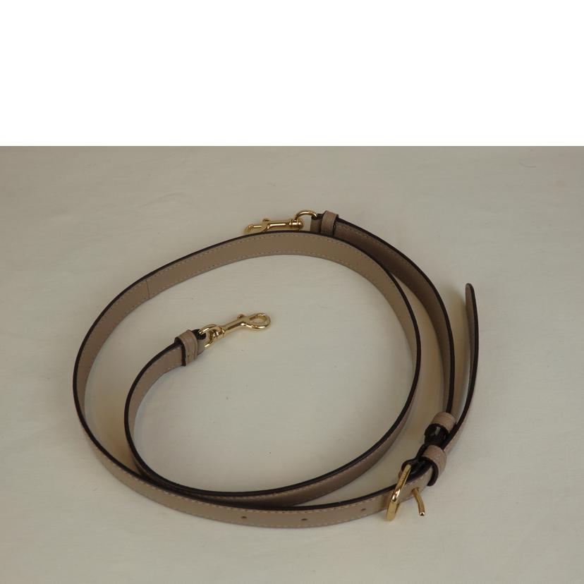 COACH COACH/リリーキャリオール2WAYハンド/91493//C20**/ABランク/93