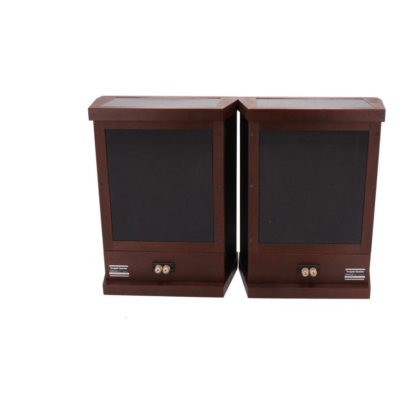 TERAGAKI Lab 寺垣ラボ/スピーカー/TERRA-SP300//100051/100052/Bランク/05