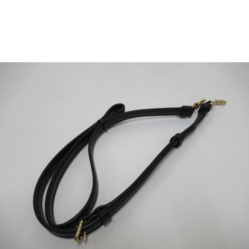 COACH/2wayバッグ/レザー/F73277//F19**/ABランク/63