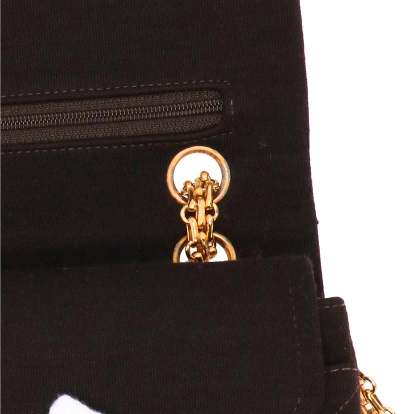 CHANEL シャネル/キャンバスWフラップチェーンショルダー//3580761/ABランク/75
