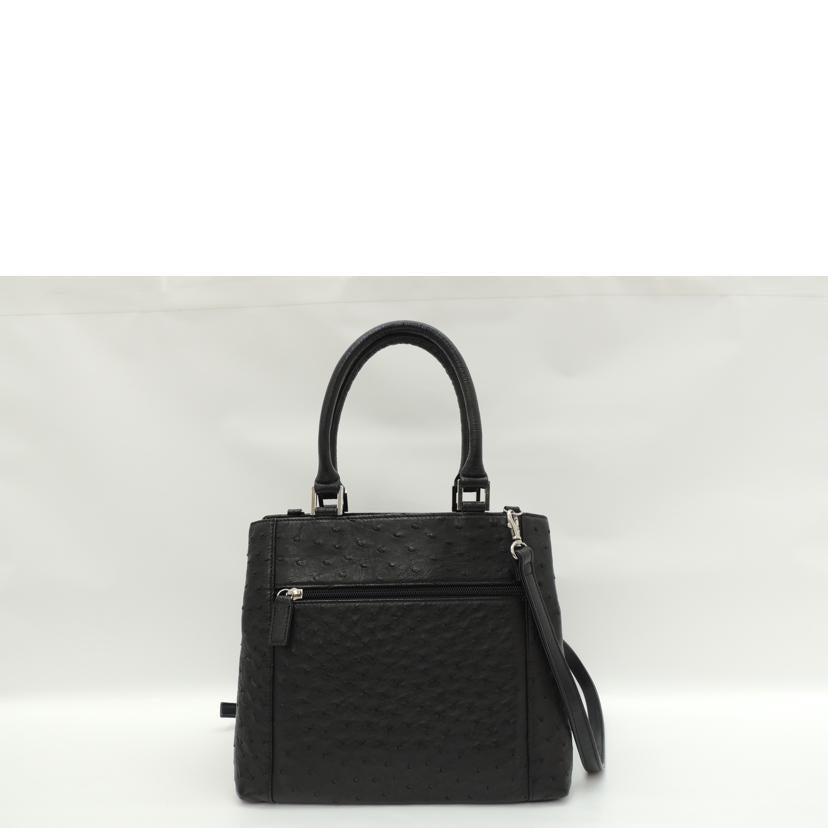 KLEIN KAROO クラインカルー/KLEIN KAROO JRA オーストリッチバッグ//SAランク/69