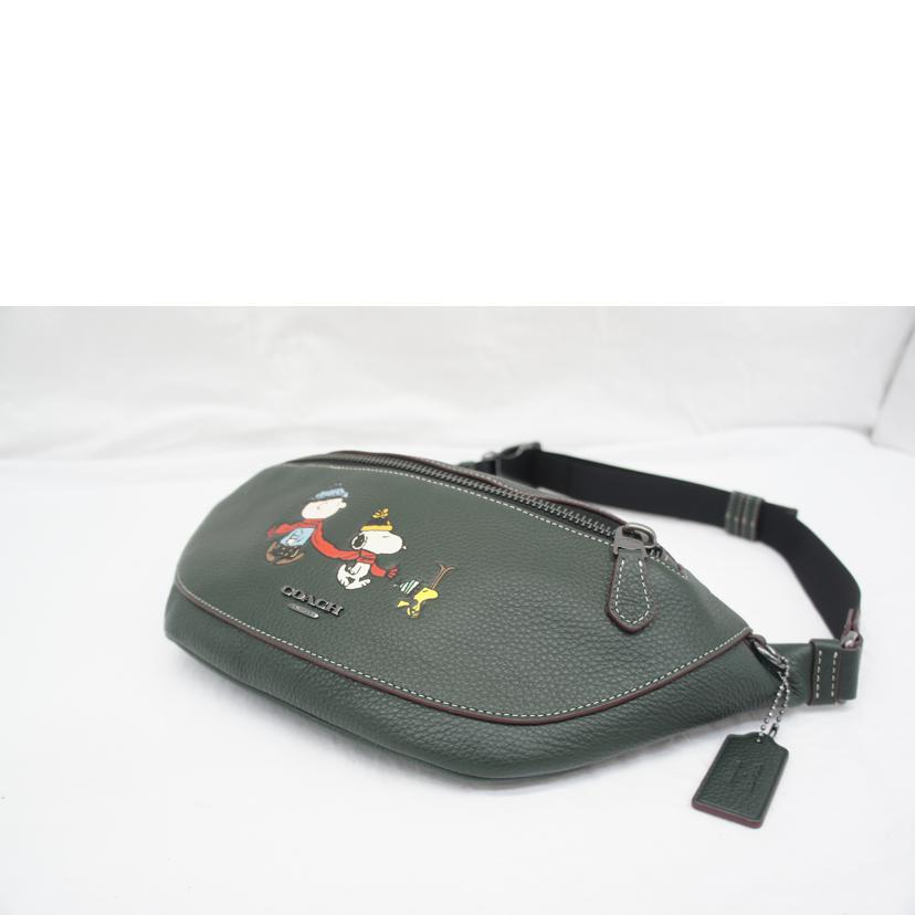 COACH コーチ/ワーレンベルトバッグ/CE618//H2280/Aランク/05