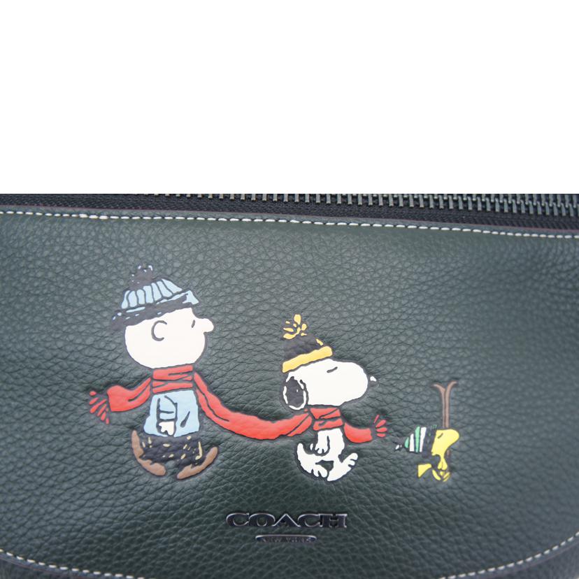 COACH コーチ/ワーレンベルトバッグ/CE618//H2280/Aランク/05