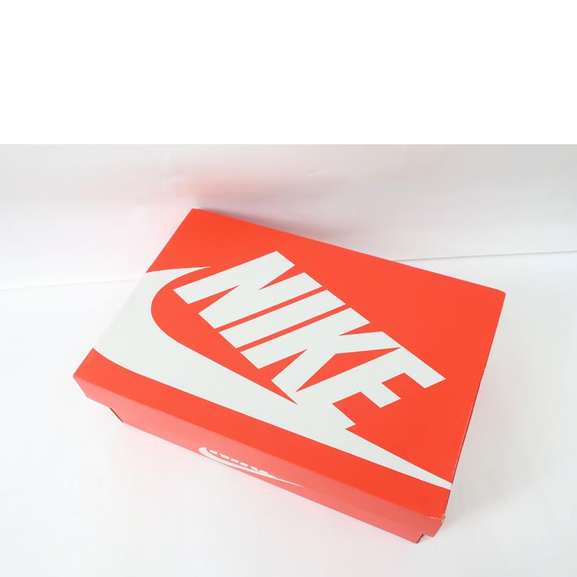 NIKE ナイキ/ターミネーターハイ TERMINATOR HIGH 28.0cm ユニバーシティレッド ホワイト/FJ4454-100//SAランク/65