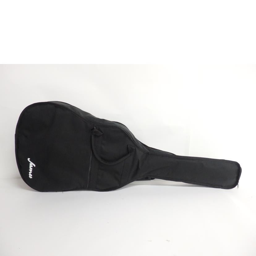 James ジェームス/アコースティックギター/J-500D NAT//J17050375/Cランク/70