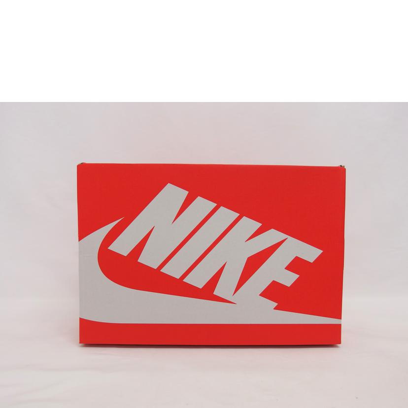 NIKE ナイキ AIR MAX メンズスニーカー グレーグラデーション/エアマックス95/スニーカー/グレー/DM0011-007//SAランク/04