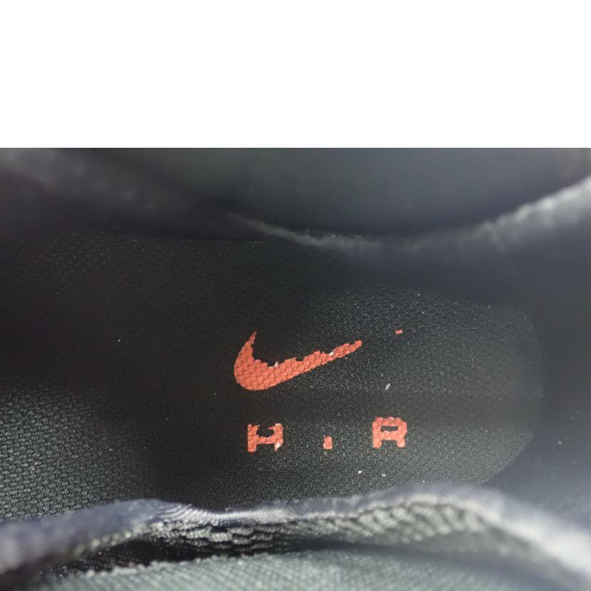 NIKE ナイキ/AIR FOAMPOSITE PRO/624041-800//28.5cm/Cランク/62