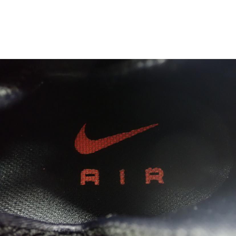 NIKE ナイキ/AIR FOAMPOSITE PRO/624041-800//28.5cm/Cランク/62