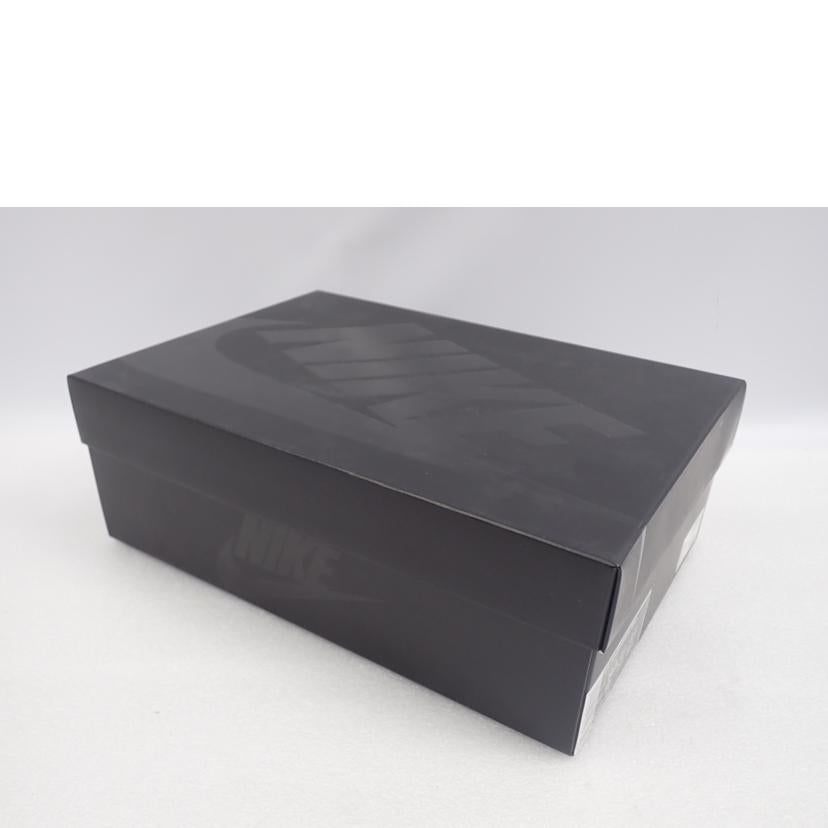 NIKE ナイキ/AIR FOAMPOSITE PRO/624041-800//28.5cm/Cランク/62