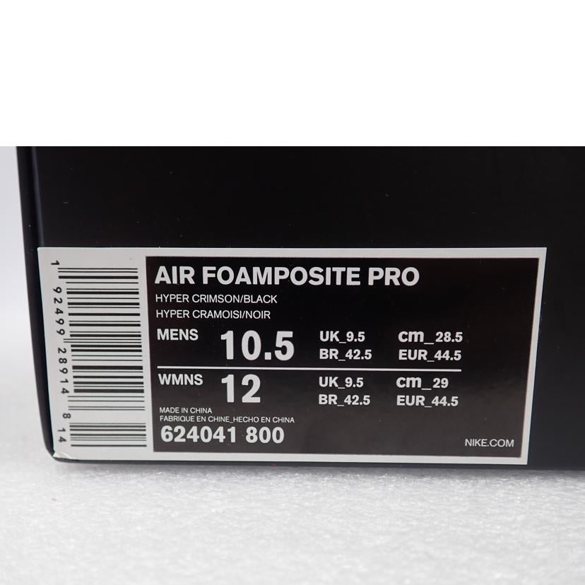 NIKE ナイキ/AIR FOAMPOSITE PRO/624041-800//28.5cm/Cランク/62