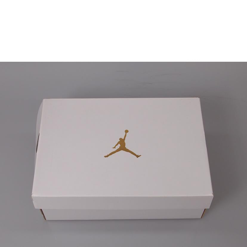 NIKE ナイキ/AIR JORDAN /BQ6472-110//ABランク/76
