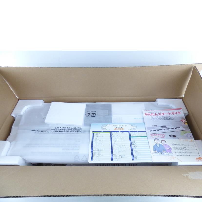 CASIO カシオ/電子キーボード/LK-516/LK-516//873BDC19J017417/Sランク/64