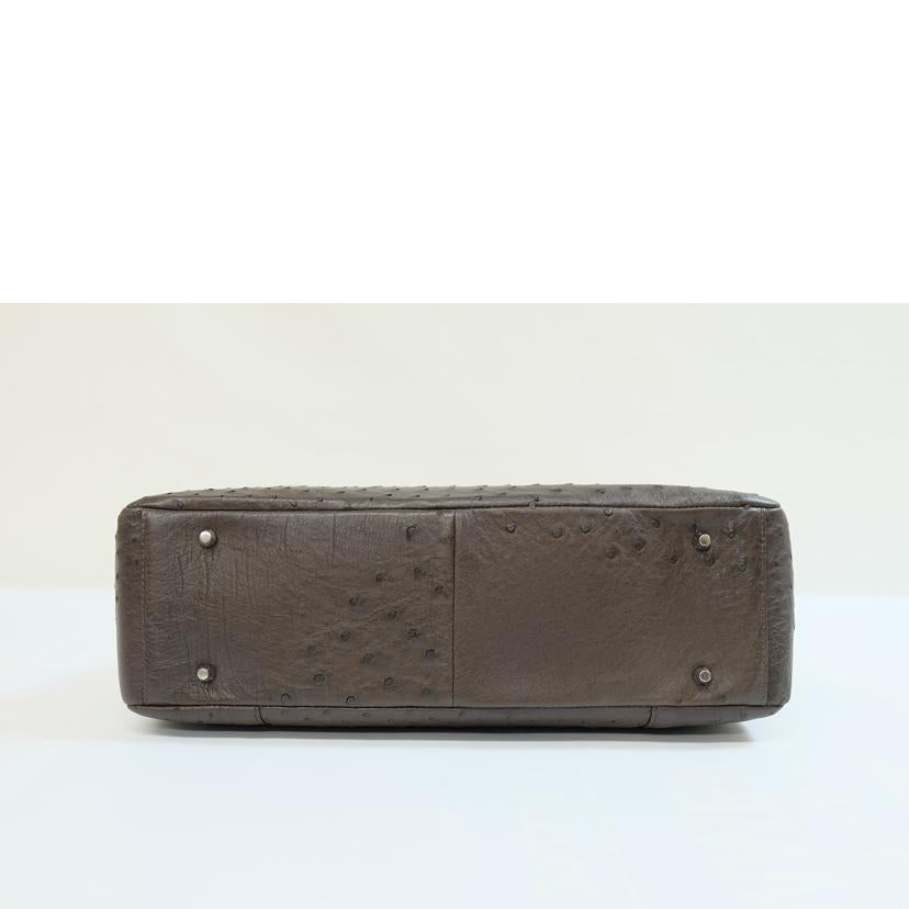 /オーストリッチ革ハンド 茶//Aランク/71