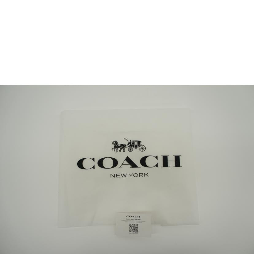 COACH コーチ/メイシーレザーサドルバッグ/CB896//E2257/Aランク/75